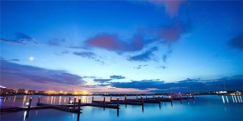 新粤西楼卤味纸包鸡