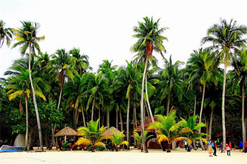 京陵鸭血粉丝汤