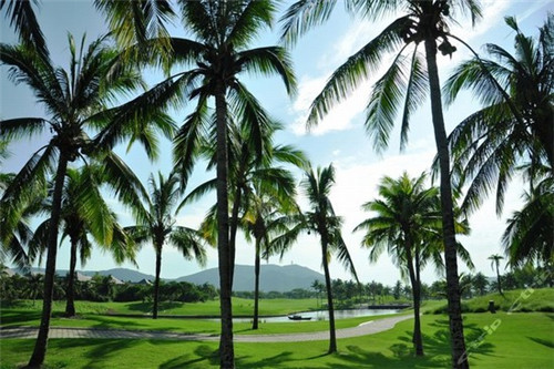 黄记品一味生煎