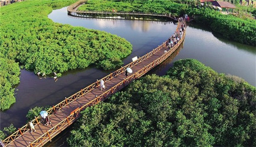 魅惑大咖海鲜焖面