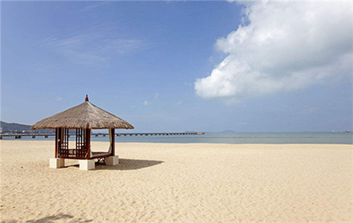 美颜素猪肚鸡汤