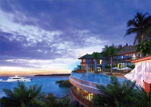 麦地初茶网红茶饮