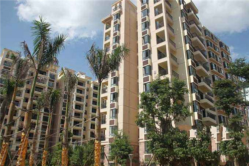 2025猫砂加盟店什么品牌口碑好