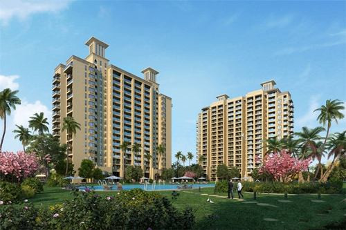 正宗小米辣苗（小米辣的苗长什么样）