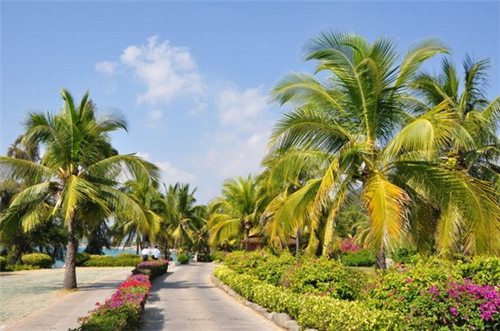 乙肝检查结果是什么意思（乙肝患者检查结果）