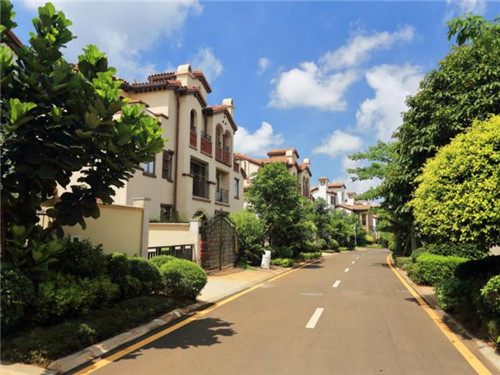 吃干炒大豆能治胃病吗（吃干炒大豆能治胃病吗视频）