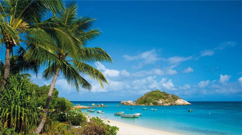 晨起开车听什么歌好听（适合早上开车听的财经）