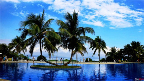 安徽四建控股集团有限公司王国志（安徽四建王红兵）